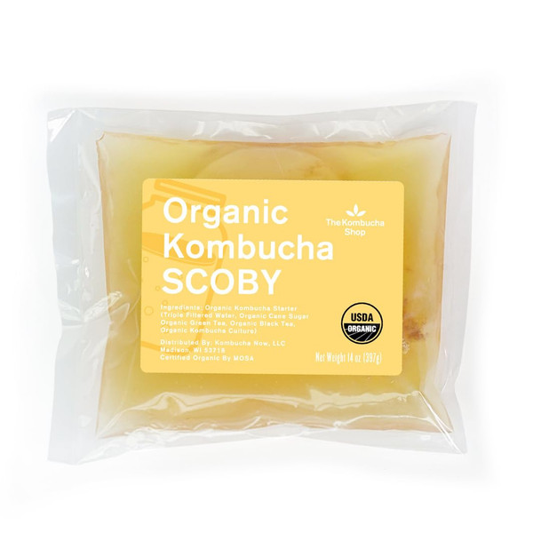 100% Organic SCOBY Kombucha Starter Kit - 100% Guaranteed to Brew - Fresh, Live Culture with Starter Liquid - The Kombucha Shop