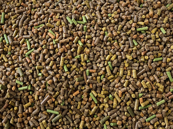 Aquatic Freshwater Snail Food Mix #2 with Calcium- Snail,Shrimp & Crayfish Food (2oz)- A2