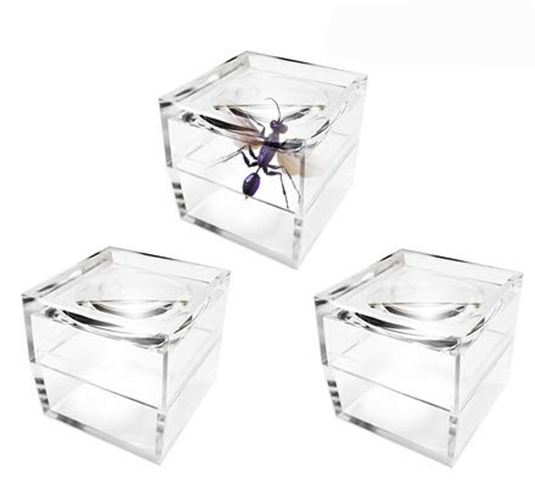 MagniPros Pack of 3 Magnifier Box Bug Viewer Magnifies up to 5X(500%) with Crystal Clear Image -Entomologists - Hobby