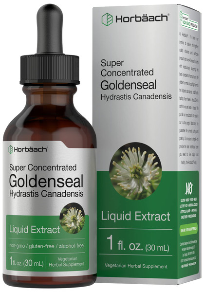 Horbaach Goldenseal Tincture Liquid Extract | 1 fl oz | Hydrastis Canadensis | Alcohol Free | Vegetarian, Non-GMO & Gluten Free
