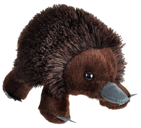 Wild Republic Hug'ems Mini Echidna, Stuffed Animal, 7 Inches, Plush Toy, Fill is Spun Recycled Water Bottles