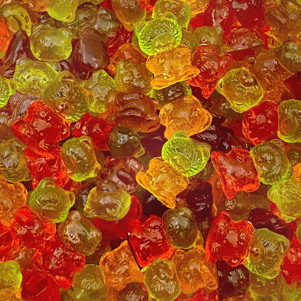 Sugar-Free Gummi Bears | 1 Pound Pack | 3D Chewy Gummy Candy | Assorted Fruit Flavors