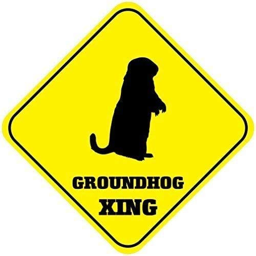 WAGSUO Groundhog Crossing Signs Square Funny Metal Signs for Home Decor Kids Room Gate Yard Sign Novelty Gifts 8"x8"