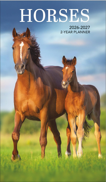 Paper Craft 2026-2027 Value Pocket Calendar for Planning, Scheduling, and Organizing (Horses)