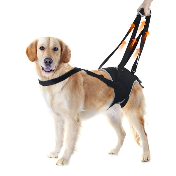 KISFLY Dog Lift Harness for Extra Large Dogs, Hind Leg Support, Adjustable, Easy to Use, Black, XL