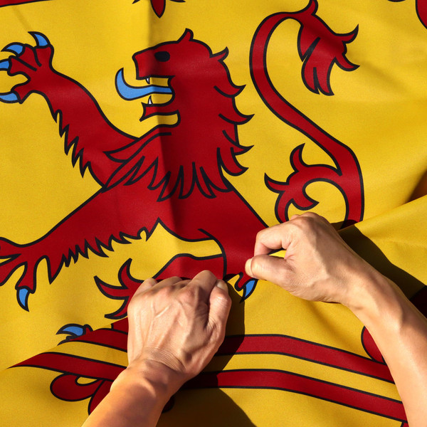 Anley Rip-Proof Double Sided 3-Ply Scotland Rampant Lion Flag 3x5 Foot - Vivid Color, Canvas Header and Wrinkle Resistant - The Strongest, Longest Lasting Scottish Rampant Lion Flags 3 X 5 Ft