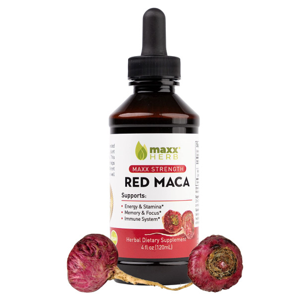Maxx Herb Red Maca Root Extract - Max Strength Liquid Drops Absorb Better Than Powder or Capsules, for Stamina, Memory and Focus - 4 Oz Bottle (60 Servings)