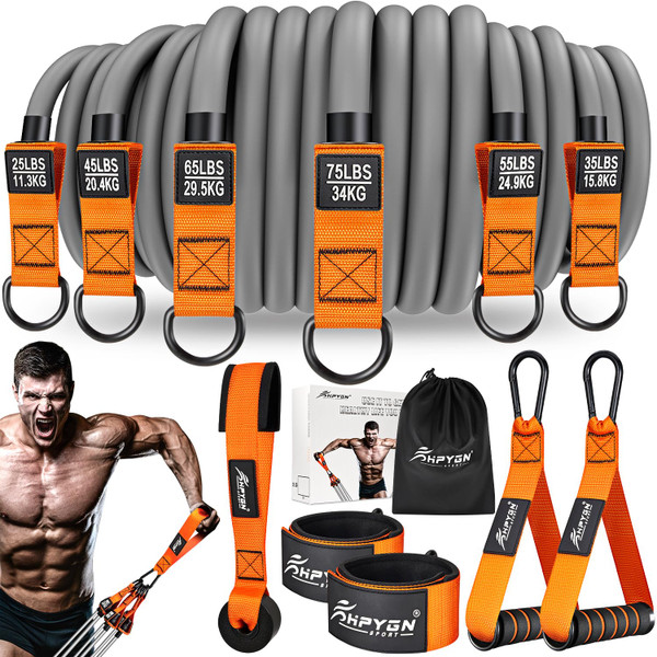 HPYGN Heavy Resistance Bands, 300LBS Exercise Bands for Working Out, Fitness Bands with Handles, Workout Bands for Men, Weight Bands Set for Muscle Training, Strength, Slim, Yoga, Home Gym Equipment-1765337897