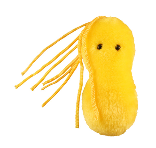 Giant Microbes Ulcer Plush – Learn About Bacteria and Gut Health with This Educational Gift for Family, Friends, Patients, Nurses, Doctors, and Anyone with a Healthy Sense of Humor
