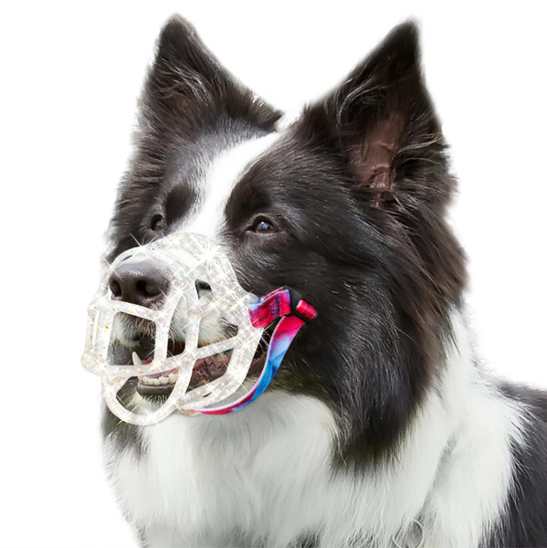 OKKIC Basket Muzzle Allows Panting Drinking, Anti Biting Chewing, Suitable for Grooming Trimming Training, Transparent, Size 2-1765520743