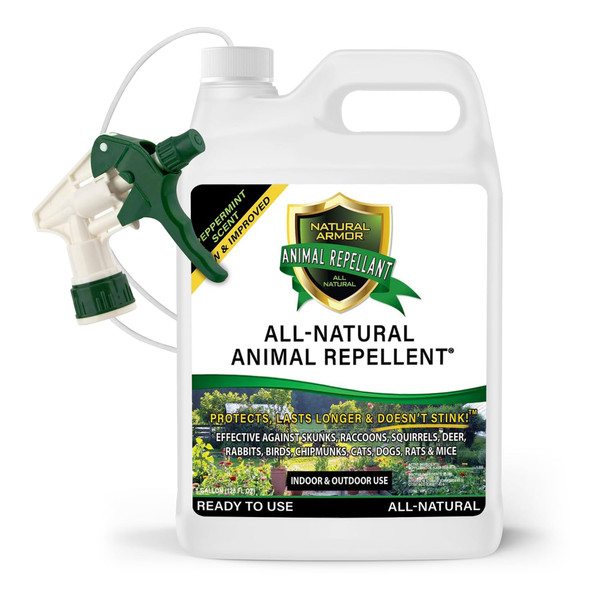 Natural Armor Animal & Rodent Repellent Spray. Repels Skunks, Raccoons, Rats, Mice, Deer Rodents & Critters. Repeller & Deterrent in Powerful Peppermint Formula – 128 Fl Oz Gallon Ready to Use