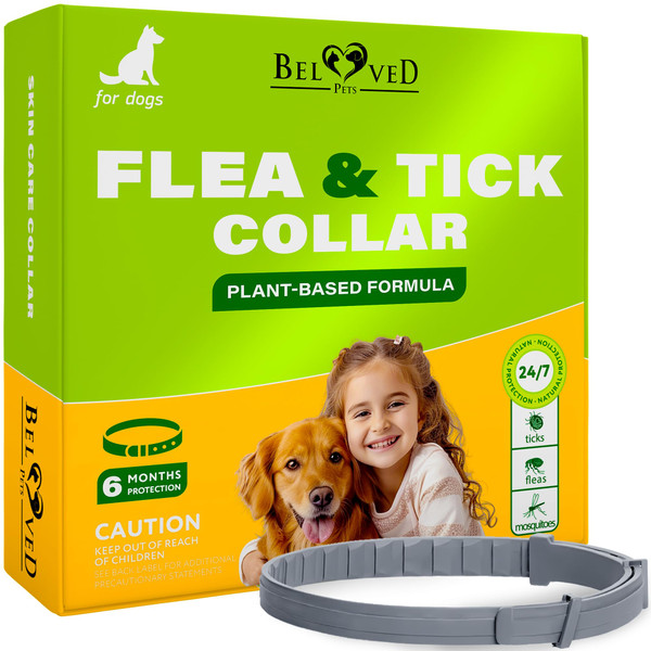 Natural Flea & Tick Collar for Dogs - 6 Months Control of Best Prevention & Safe Treatment - Anti Fleas and Ticks Essential Oil Repellent (1 Count (Pack of 1))