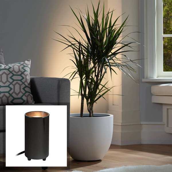 Pro Track 6 1/2" High Can Uplighting Indoor Accent Spot-Light Plug-in Floor Plant Home Decorative Art Desk Picture Table Living Room Interior Corner Bar Photo Black Finish