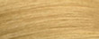 TINTE NAYO #1003 SUPER-LIGHTENER GOLDEN 1.7 OZ