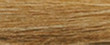 TINTE NAYO #8.3 LIGHT GOLDEN BLONDE 1.7 FL OZ