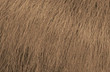 MATRIX SOCOLOR DREAM AGE DA-507NG RUBIO DORADO MATRIX SOCOLOR DREAM AGE DA-507NG RUBIO DORADO