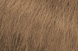 MATRIX SOCOLOR DREAM AGE DA-507NG RUBIO DORADO MATRIX SOCOLOR DREAM AGE DA-507NG RUBIO DORADO