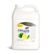 SPA REDI CALLUS REMOVER VERBENA CITRUS GALON