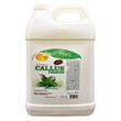 SPA REDI CALLUS REMOVER MINT & EUCALYPTUS 128OZ