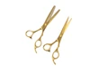 TIJERA KIT CORTE Y ENTRESACAR GOLD 6"