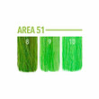 PULPRIOT SEMI PERMANENT AREA 51 4OZ