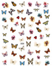 CALCOMANIA PARA LAS UÑAS CON DISEÑO DE MARIPOSAS