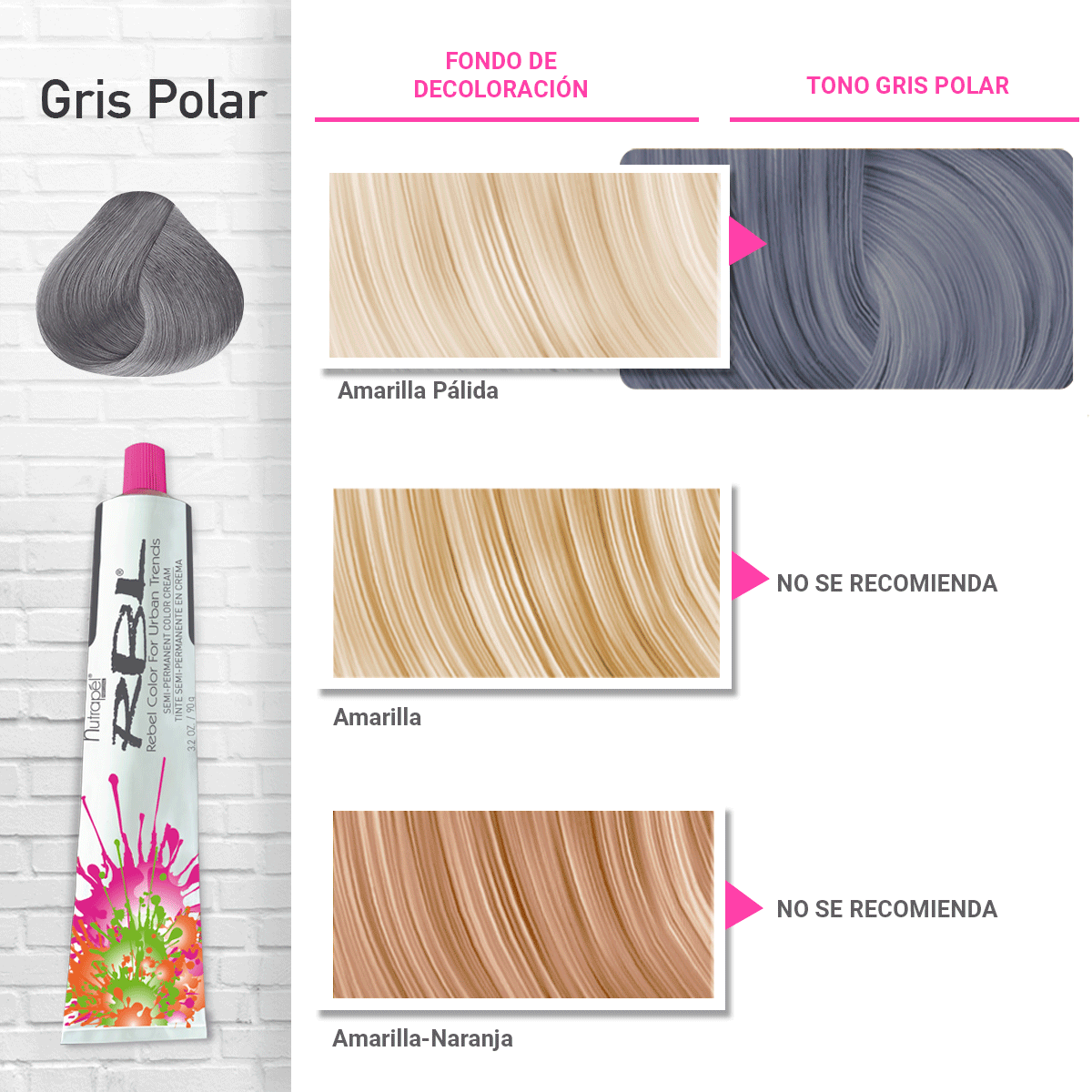 TINTE RBL GRIS POLAR 4 OZ