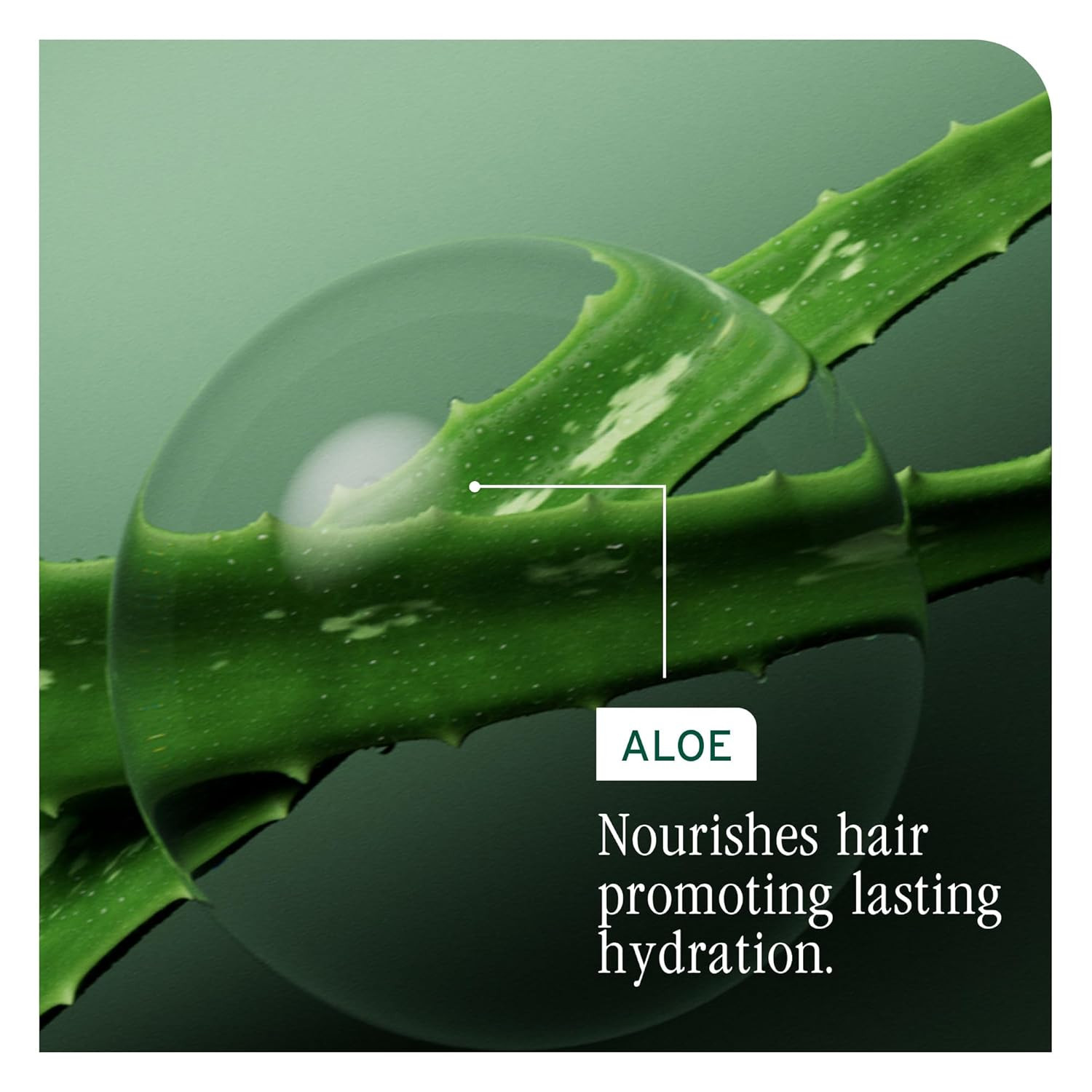 BIOLAGE HYDRASOURCE ALOE MASK FOR DRY HAIR 16.9 FL OZ