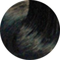 RAYOCOLOR NEGRO GOLON 10.5OZ