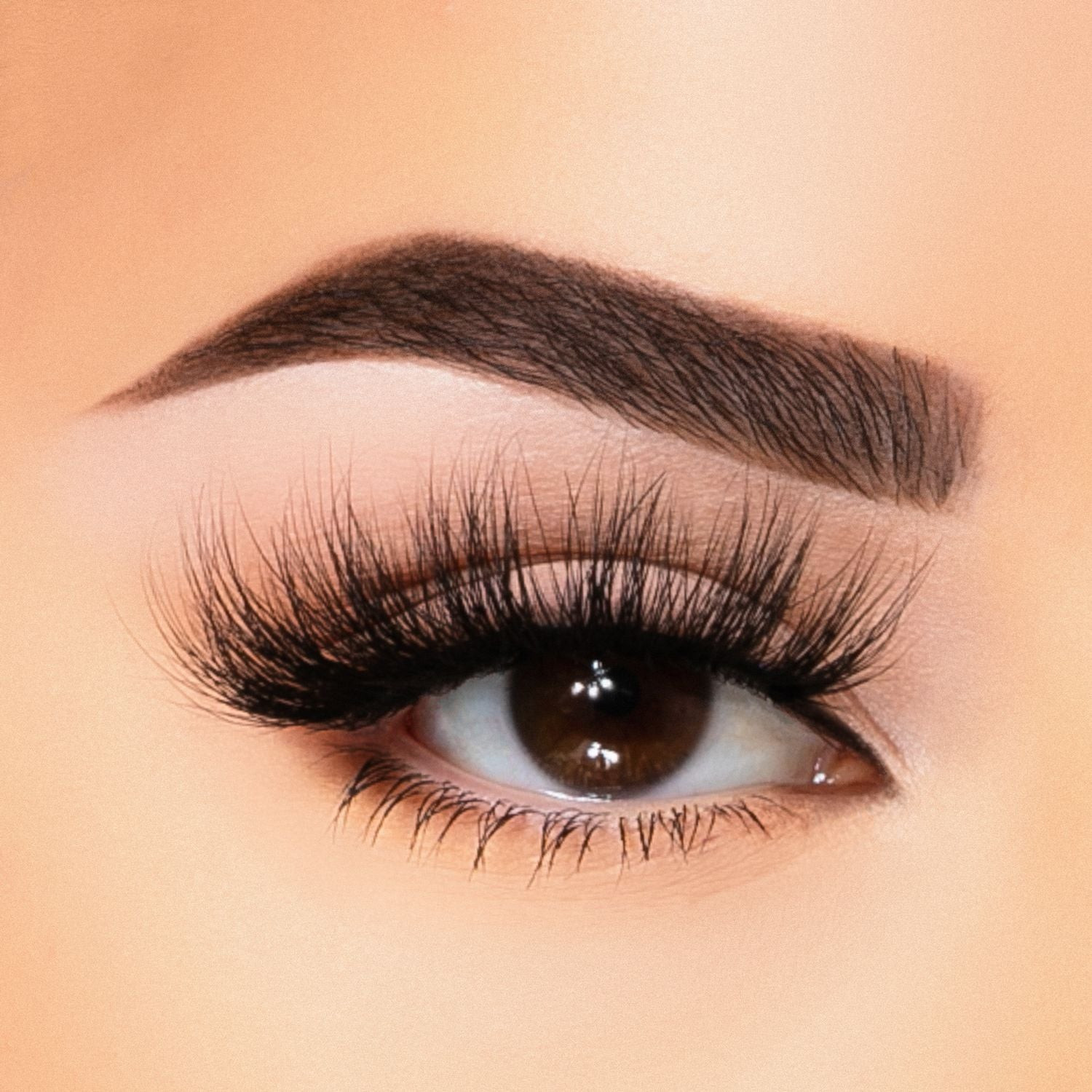 BEAUTY CREATIONS MINK LASHES SHES A TEASE