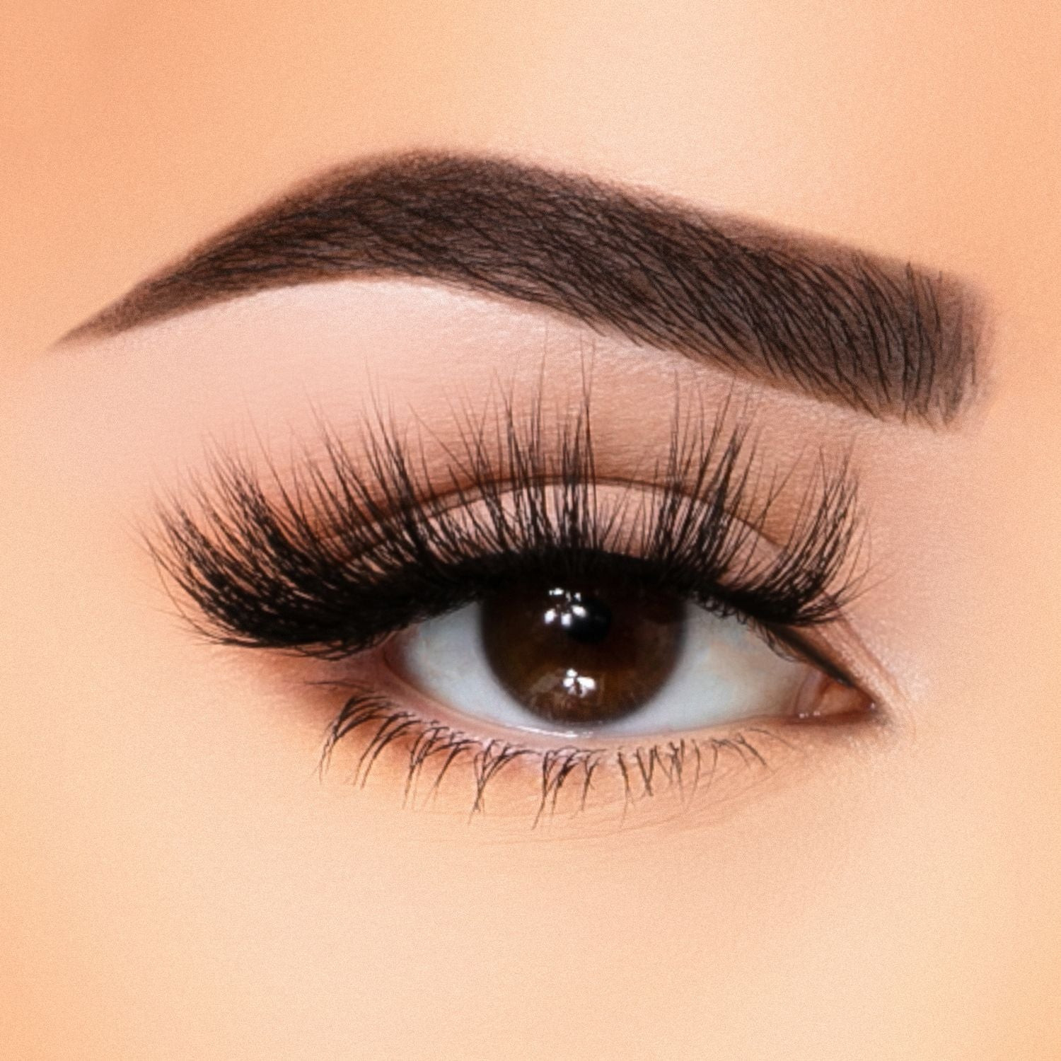 BEAUTY CREATIONS MINK LASHES MY FAV