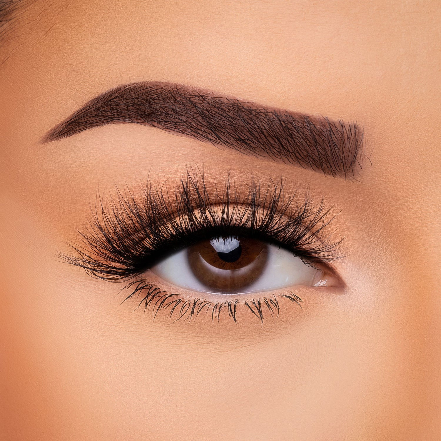 BEAUTY CREATIONS SNATCHED LASHES