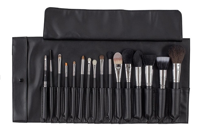 BD BROCHA PROFESIONAL KIT P/20