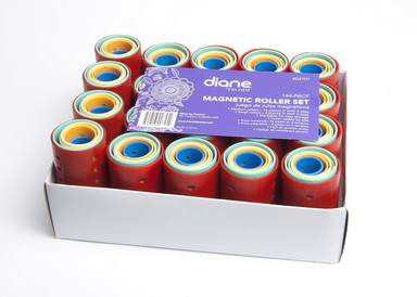 DIANE FROMM MAGNETIC ROLLER SET #D2701 P/144
