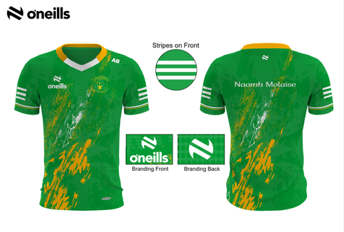 St. Molaise Team Short Sleeve Training Top (Kids)