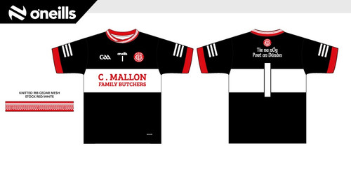 Tir na nOg Team Jersey Goalkeeper (Adults)