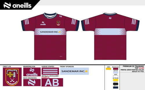Ruairi Og Team Short Sleeve Training Top (Adults)