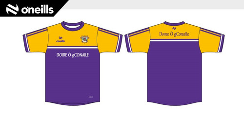 Derrygonnelly Harps GAC Mens Senior Training Top (Kids)