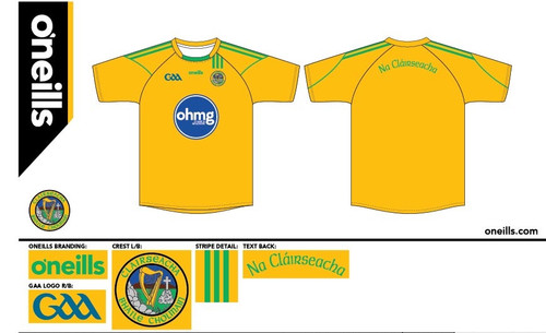 Ballyholland Harps Team Jersey Alternative (Kids)
