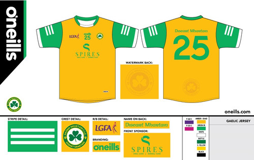 Desertmartin Team Jersey LGFA (Adults)