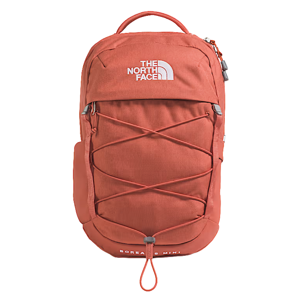 The North Face Borealis Mini Backpack