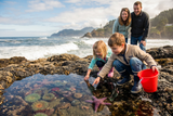 Tide Pools to Campfires: A PNW Summer Bucket List for Families