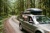 Four Days on the Olympic Peninsula: A Family Road Trip Worth the Drive