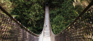 5 Easy to Exhausting Washington Hikes to Enjoy this Summer!