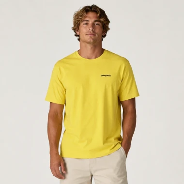 P-6 Outline: Lemon Zest
