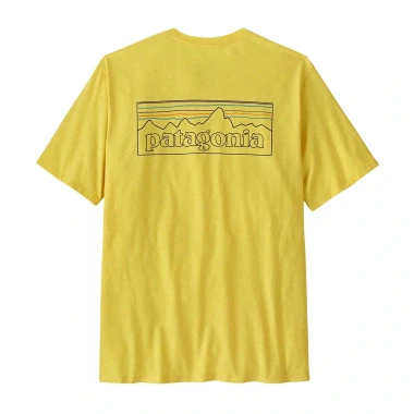 P-6 Outline: Lemon Zest
