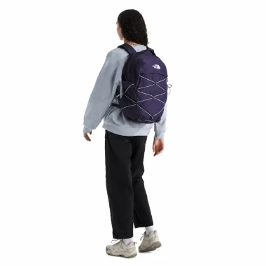 Eternal Purple/Blue Flax