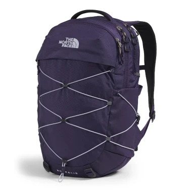 Eternal Purple/Blue Flax