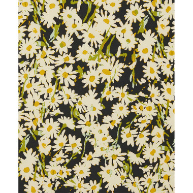 Barley Daisy Field Print