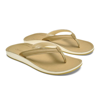 Toastd Coconut / Tostd Coconut